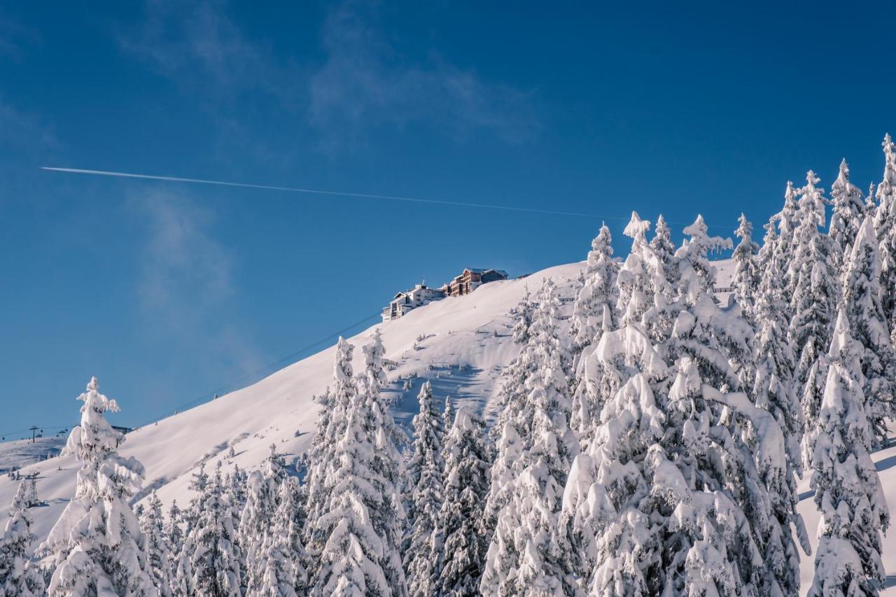 The Steinbock Lodge With Garden And Bbq Zell am See Luaran gambar